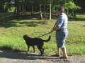 2010-05_06 Hemi Walk